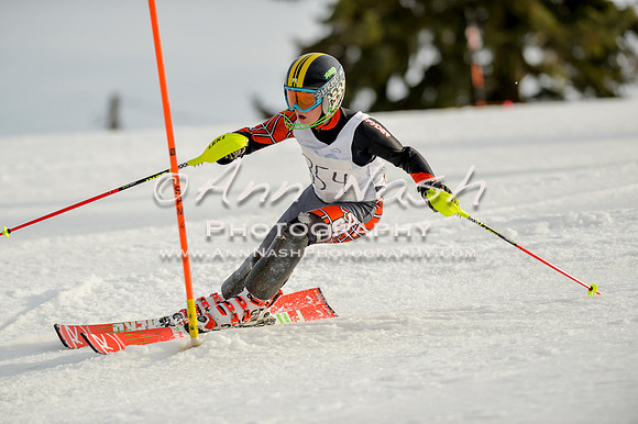 alpine-Feb19-2017-DSC_1359