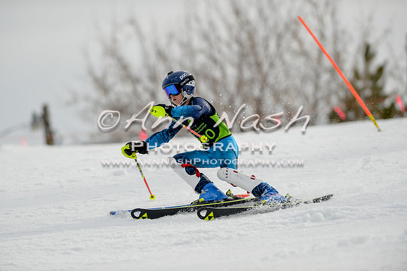 alpine-Feb19-2017-DSC_0317