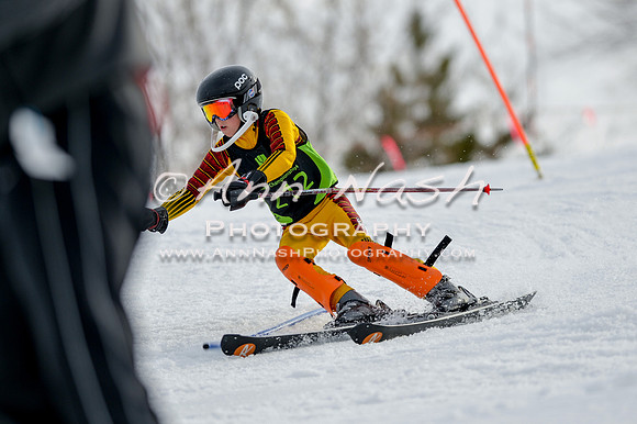 alpine-Feb19-2017-DSC_0938