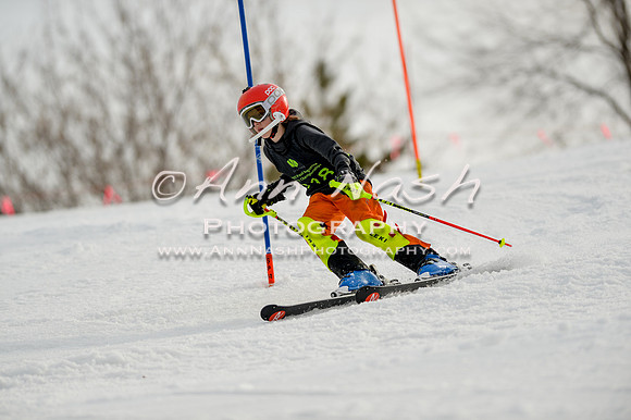 alpine-Feb19-2017-DSC_0905