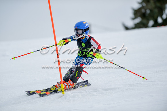 alpine-Feb19-2017-DSC_0363