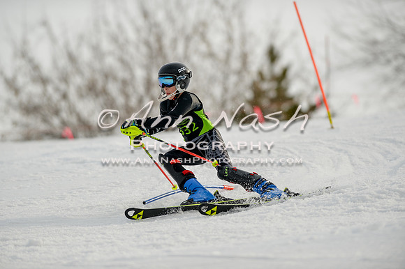 alpine-Feb19-2017-DSC_1179