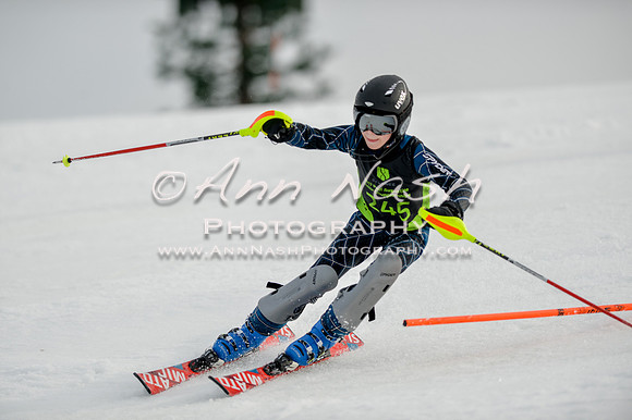 alpine-Feb19-2017-DSC_0377