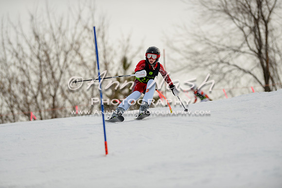 alpine-Feb19-2017-DSC_0648