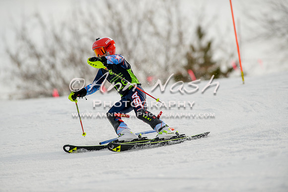alpine-Feb19-2017-DSC_0957