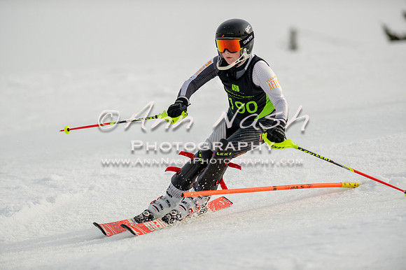 alpine-Feb19-2017-DSC_0896