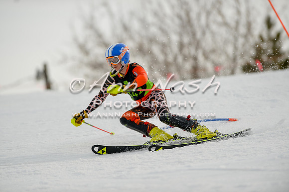 alpine-Feb19-2017-DSC_1066