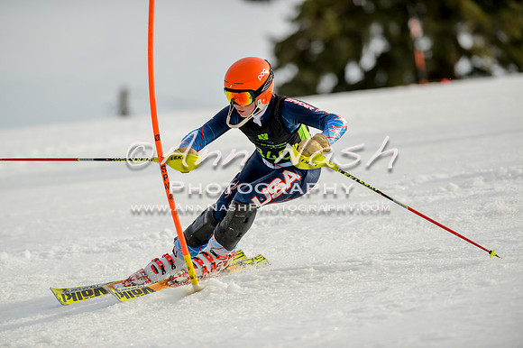 alpine-Feb19-2017-DSC_1310