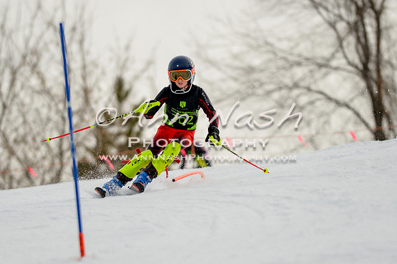 alpine-Feb19-2017-DSC_0620