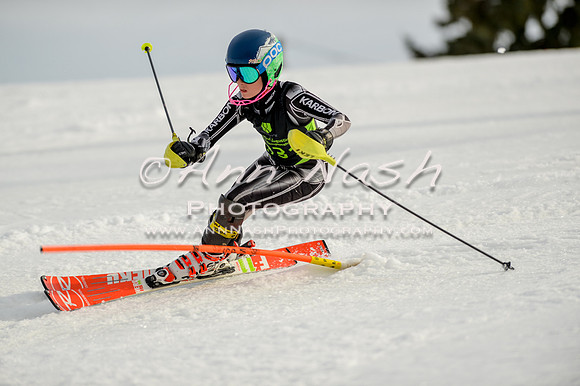 alpine-Feb19-2017-DSC_1323