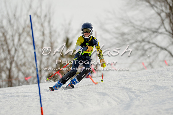 alpine-Feb19-2017-DSC_1234