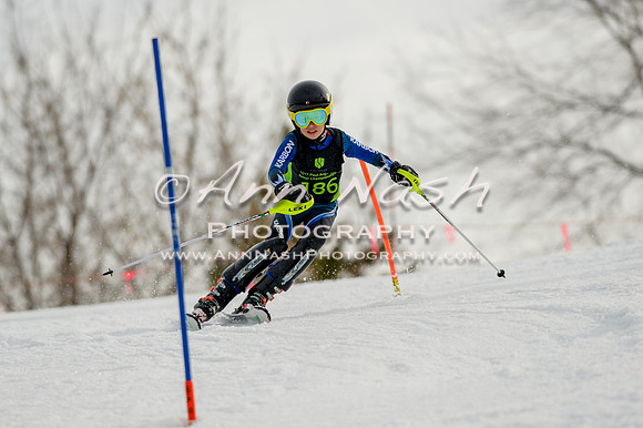 alpine-Feb19-2017-DSC_0922