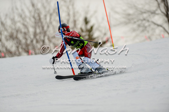 alpine-Feb19-2017-DSC_0650