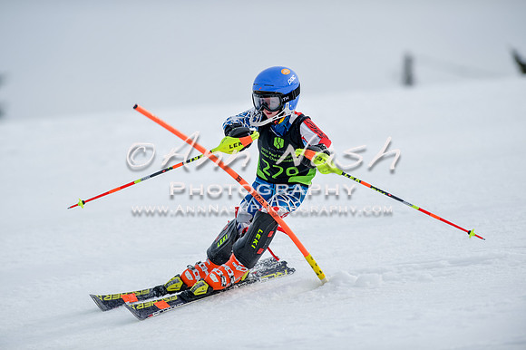 alpine-Feb19-2017-DSC_0364