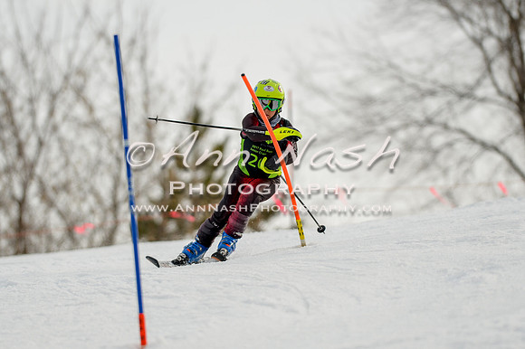 alpine-Feb19-2017-DSC_0848