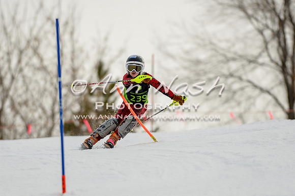 alpine-Feb19-2017-DSC_0664
