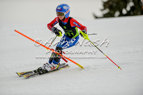 alpine-Feb19-2017-DSC_0702