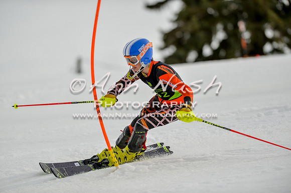 alpine-Feb19-2017-DSC_1067
