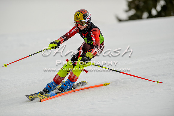 alpine-Feb19-2017-DSC_0760