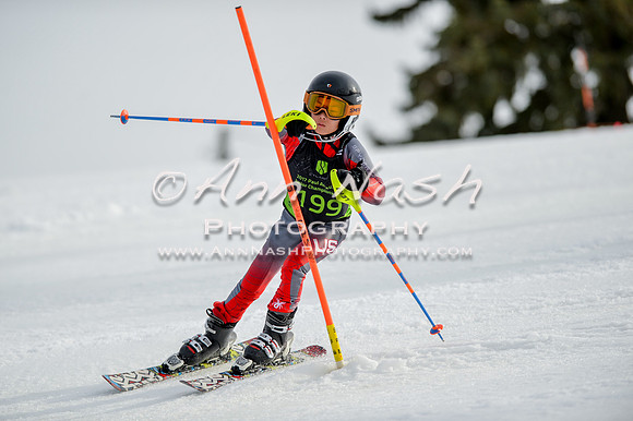 alpine-Feb19-2017-DSC_0877