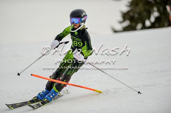 alpine-Feb19-2017-DSC_0746