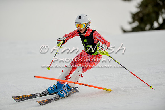 alpine-Feb19-2017-DSC_0711