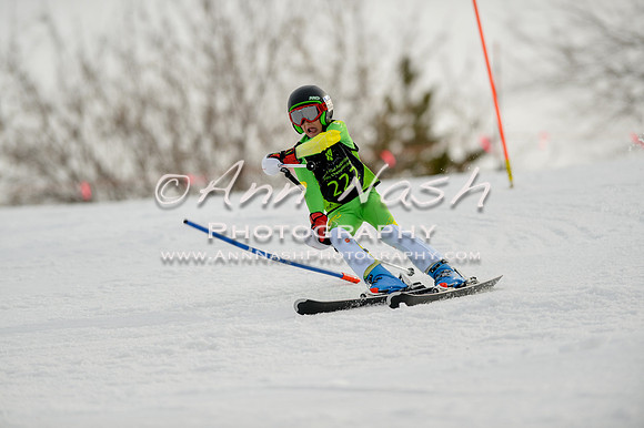 alpine-Feb19-2017-DSC_0769