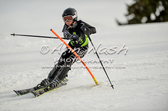 alpine-Feb19-2017-DSC_1221