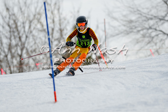 alpine-Feb19-2017-DSC_0936