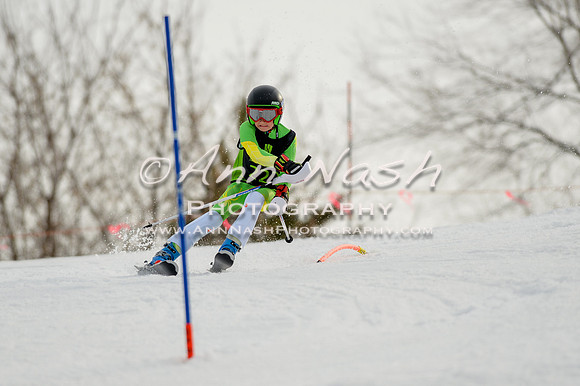 alpine-Feb19-2017-DSC_0767