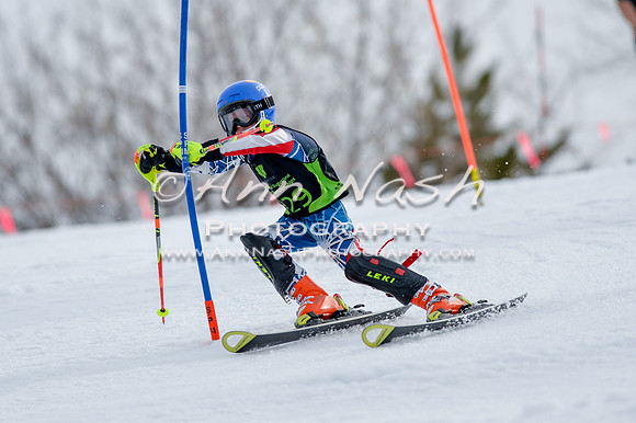 alpine-Feb19-2017-DSC_0359