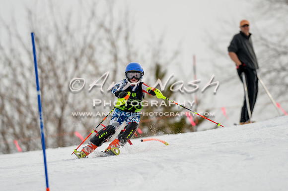 alpine-Feb19-2017-DSC_0358
