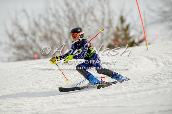 alpine-Feb19-2017-DSC_1381