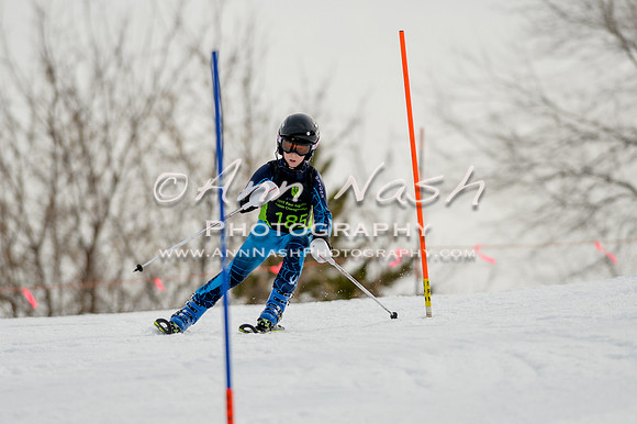 alpine-Feb19-2017-DSC_0417