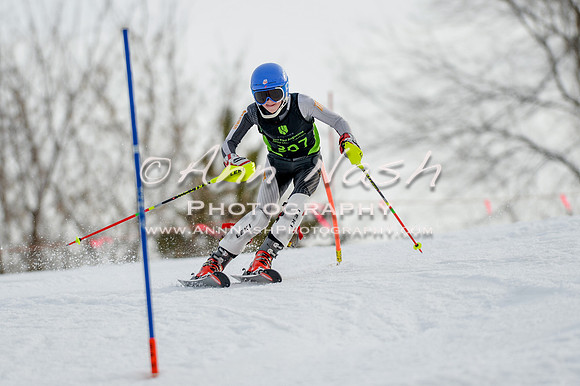 alpine-Feb19-2017-DSC_1105