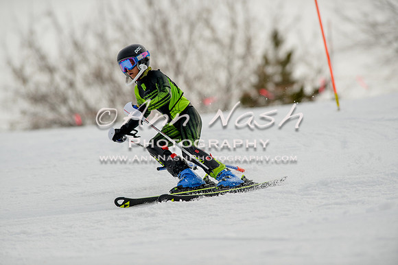 alpine-Feb19-2017-DSC_0744