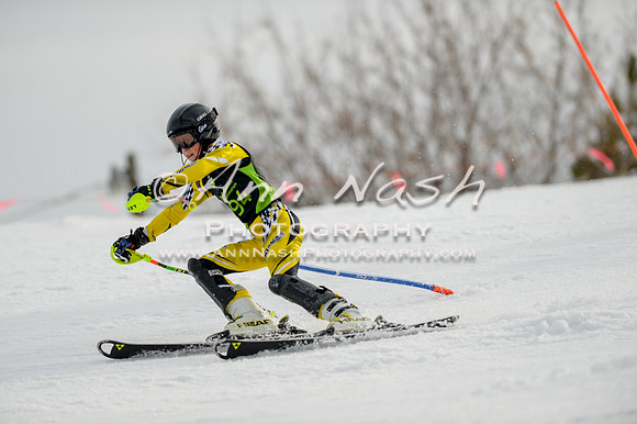 alpine-Feb19-2017-DSC_0300