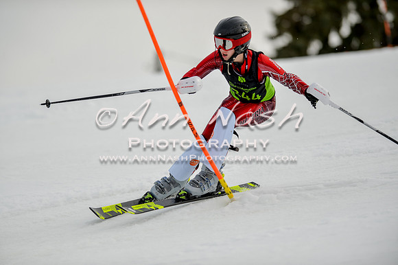 alpine-Feb19-2017-DSC_0652