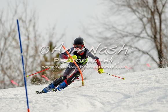 alpine-Feb19-2017-DSC_1339