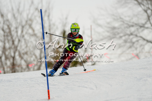 alpine-Feb19-2017-DSC_0849