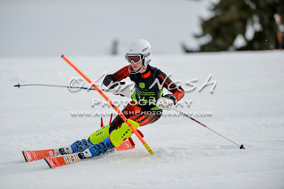 alpine-Feb19-2017-DSC_0405