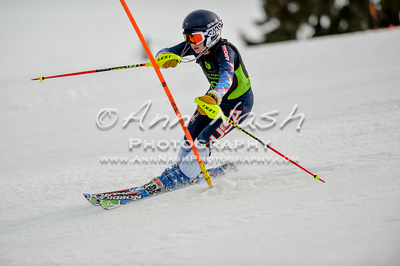 alpine-Feb19-2017-DSC_0973