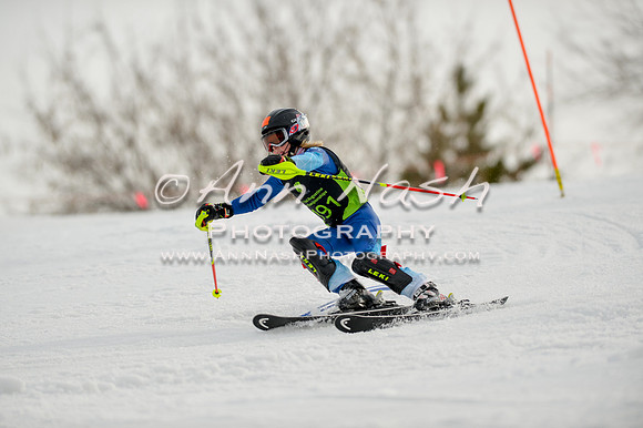alpine-Feb19-2017-DSC_0778