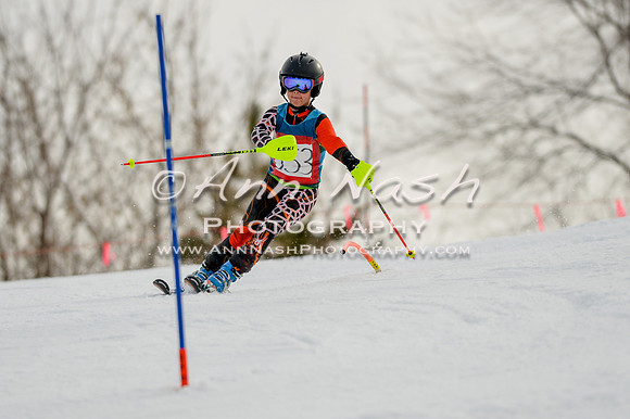 alpine-Feb19-2017-DSC_0538
