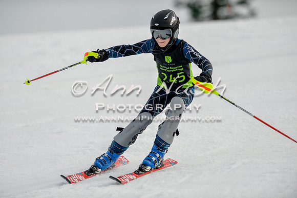 alpine-Feb19-2017-DSC_0379