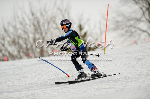 alpine-Feb19-2017-DSC_0811