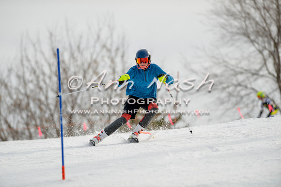 alpine-Feb19-2017-DSC_0260