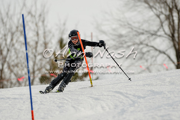 alpine-Feb19-2017-DSC_1215