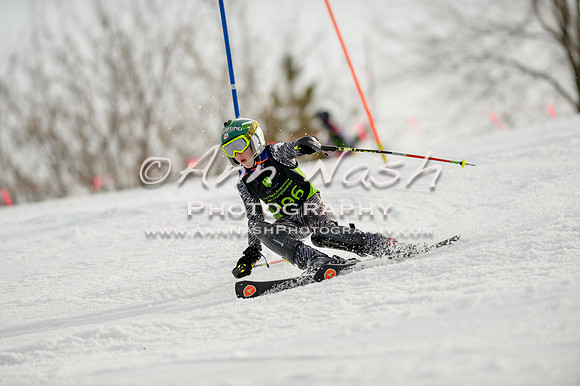 alpine-Feb19-2017-DSC_0863