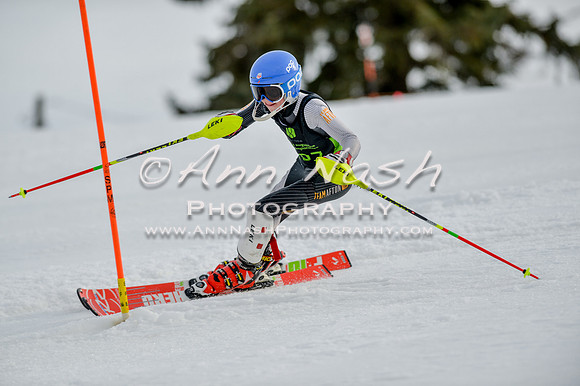 alpine-Feb19-2017-DSC_1108
